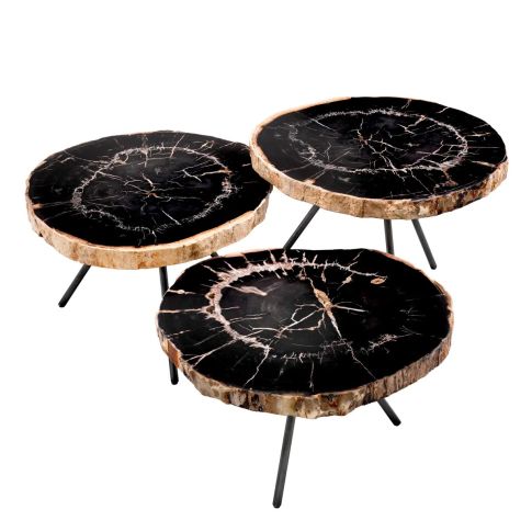 Coffee Table De Soto set of 3 Dark range petrified wood