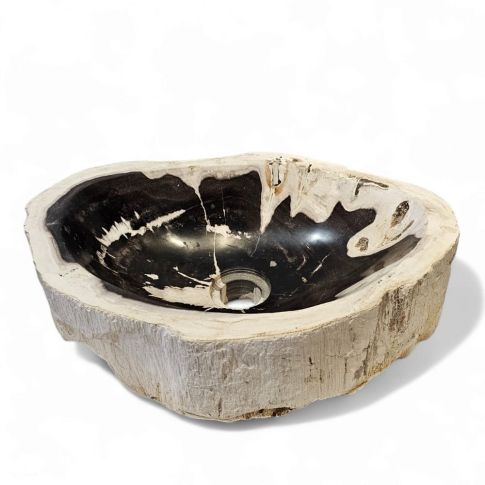 Basin petrified L