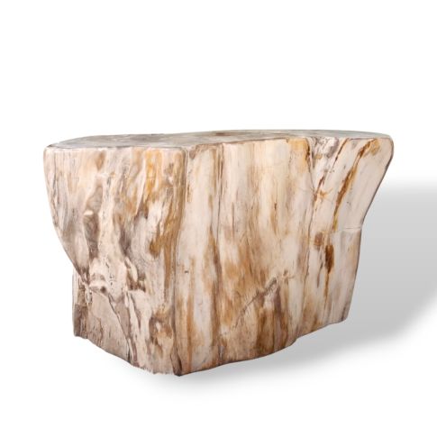 Petrified Stool / Side table (L)