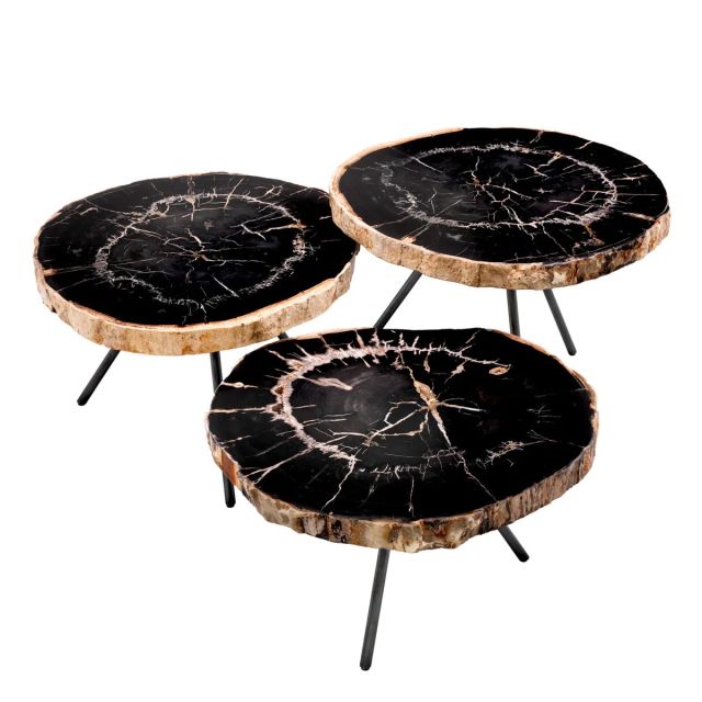 Coffee Table De Soto set of 3 Dark range petrified wood