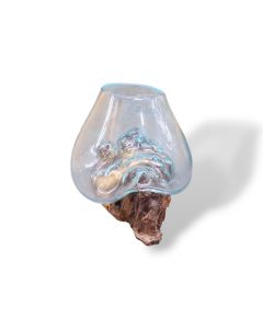 Vase mouth blown glass on olive root base - S