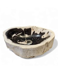 Basin petrified L