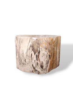 Petrified Stool / Side table  (S)