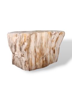 Petrified Stool / Side table (L)